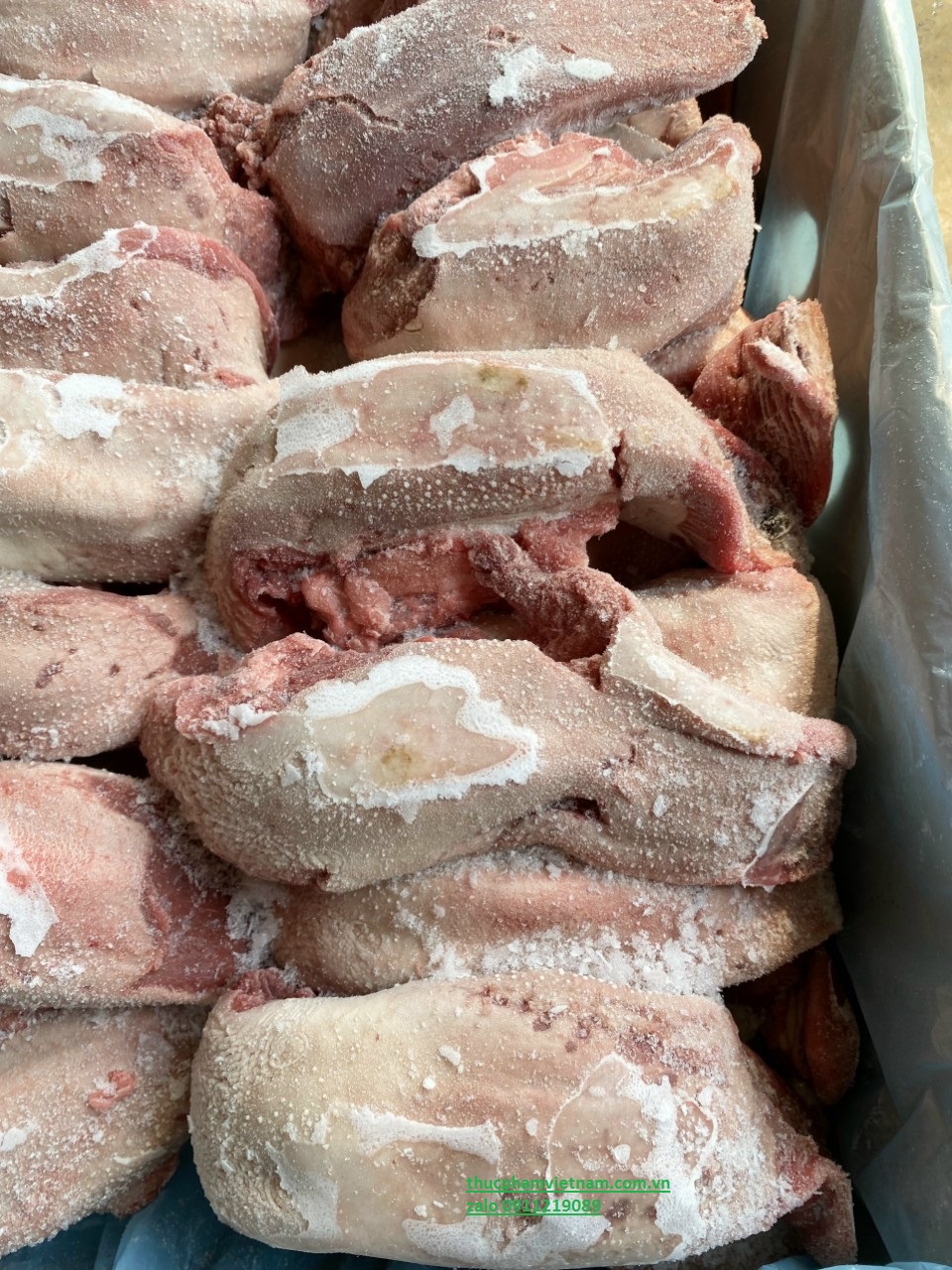 Lưỡi heo không cuống Tonnies đông lạnh, NK Đức, Thùng 10kg